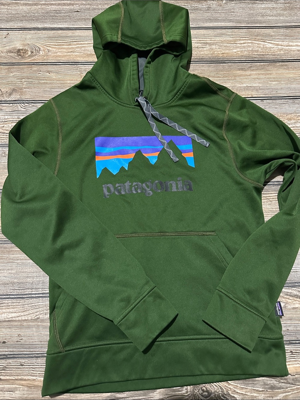 Patagonia Adult Olive Green Pullover Hoodie with Mountain Logo